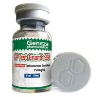 Buy Testosterone Enanthate from Geneza Pharmaceuticals