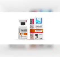 Buy Pregnyl from Hilma Biocare