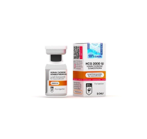 Buy Pregnyl from Hilma Biocare