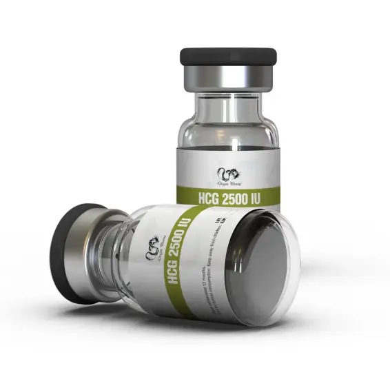 Buy Pregnyl from Dragon Pharma