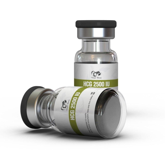 Buy Pregnyl from Dragon Pharma