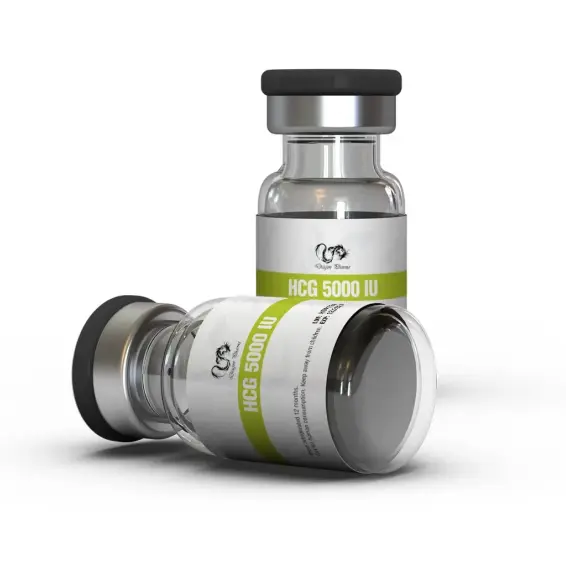 Buy Pregnyl from Dragon Pharma