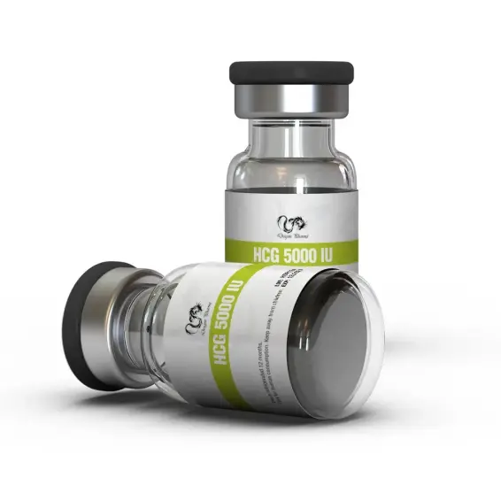 Buy Pregnyl from Dragon Pharma