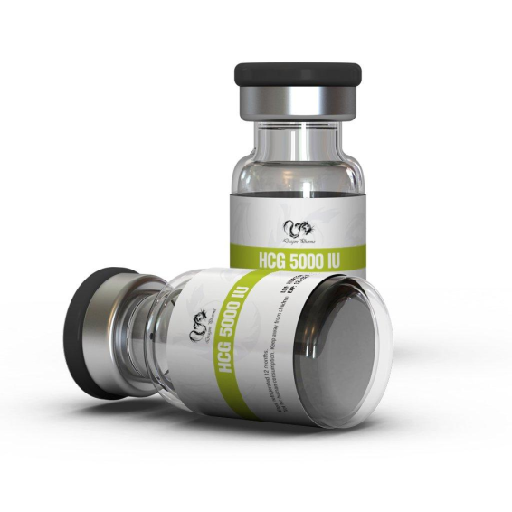 Buy Pregnyl from Dragon Pharma