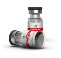 Buy L-Carnitine from Dragon Pharma