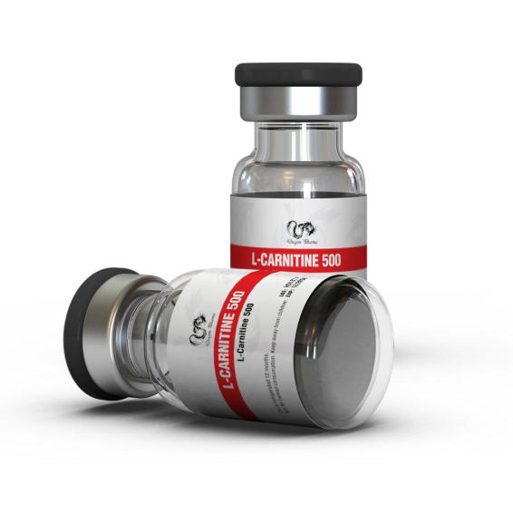 Buy L-Carnitine from Dragon Pharma