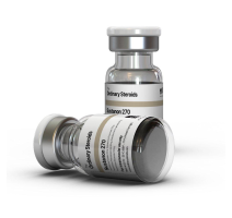 Buy Sustanon from Ordinary Steroids USA