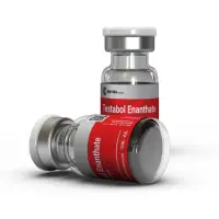 Buy Testosterone Enanthate from British Dragon