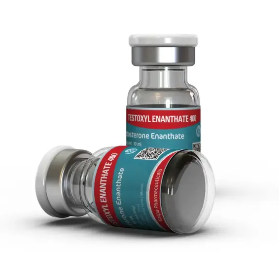 Buy Testosterone Enanthate from Kalpa Pharmaceuticals