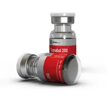 Buy Trenbolone Enanthate from British Dragon