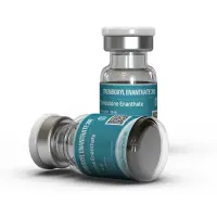 Buy Trenbolone Enanthate from Kalpa Pharmaceuticals